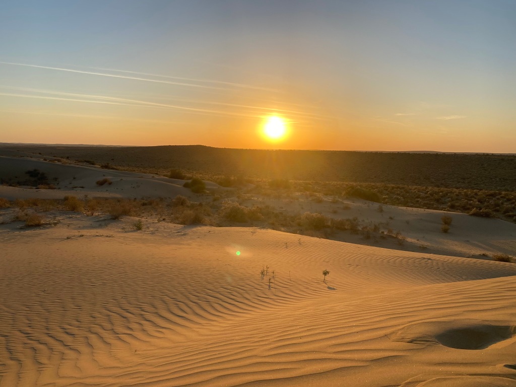 Image of a bright orange sunset across the desert, with ripples with foliage in the sand.